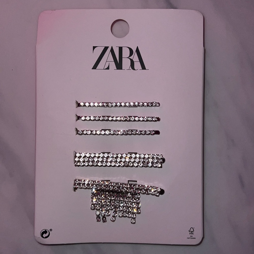 Brand New Zara Hair Pins